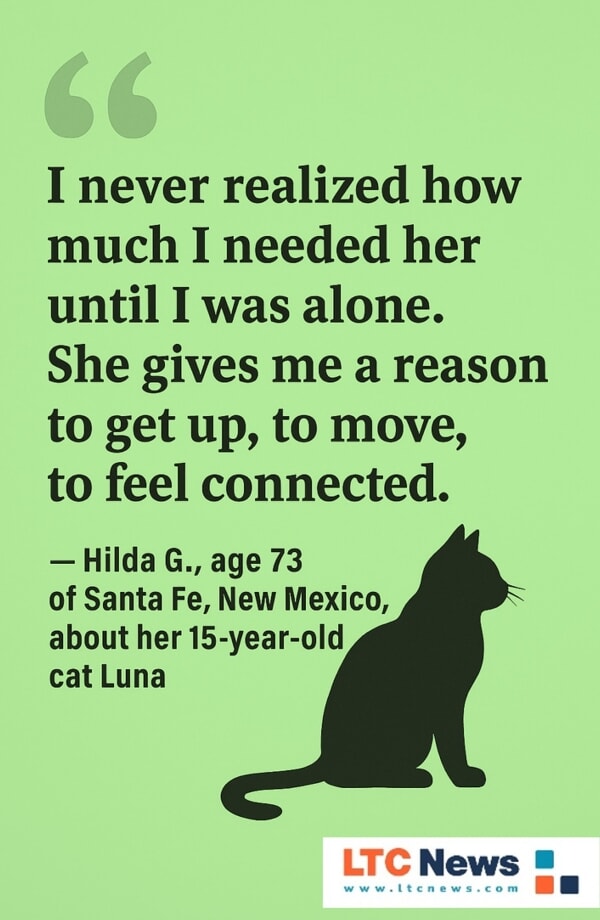 Infographic about pets as companions.