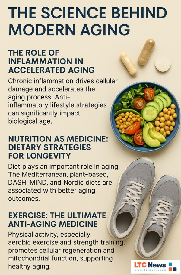 Infographic explaining some new discoveries about how aging happens.