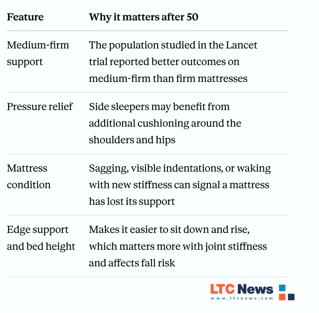 Why the Right Bed Matters for You and Your Aging Dog - Image 2