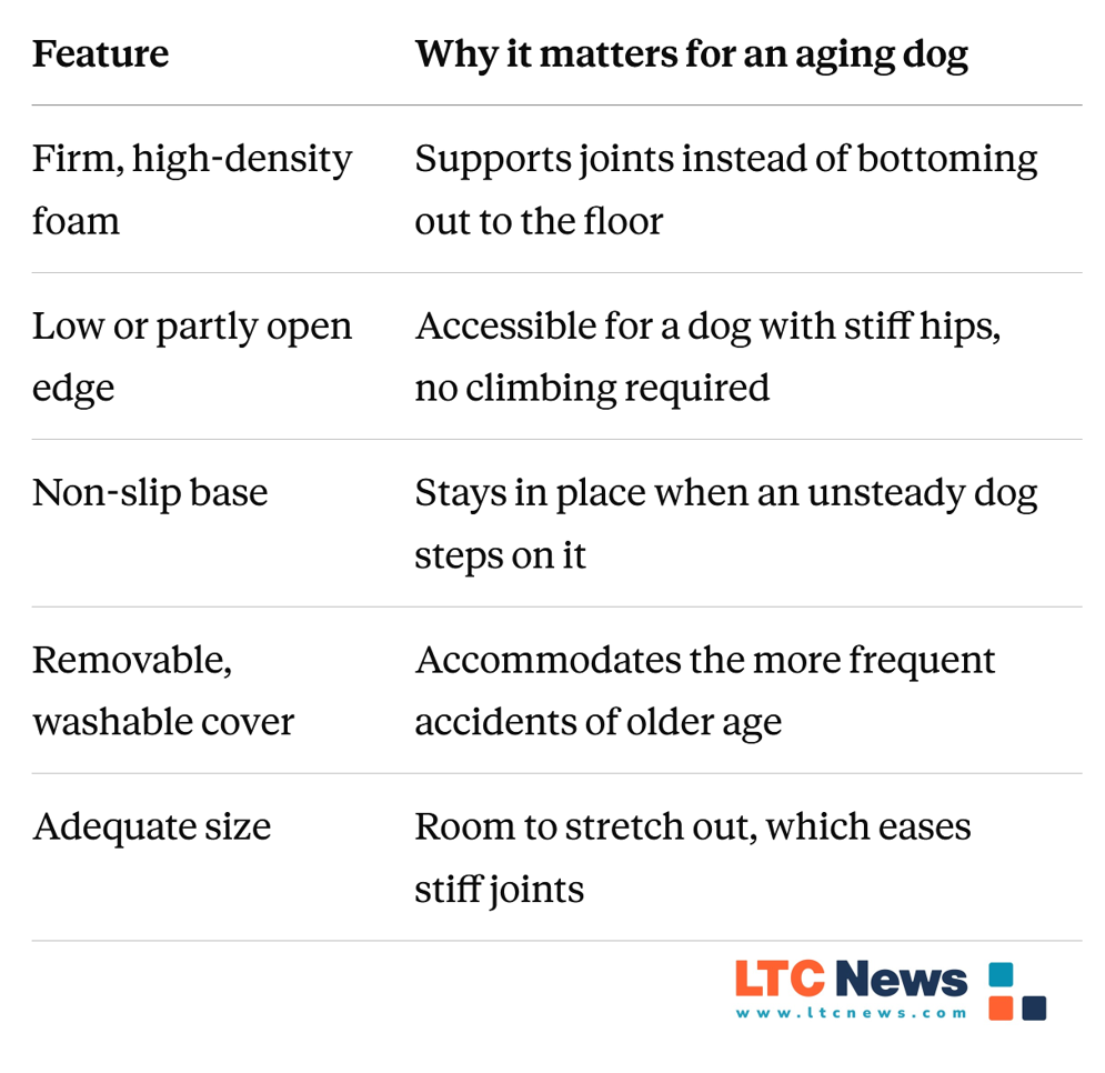 Why the Right Bed Matters for You and Your Aging Dog - Image 3